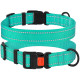 Нашийник BronzeDog Active, для собак, нейлоновий, фастекс пластик, бірюзовий, 25-33×1.6 см
