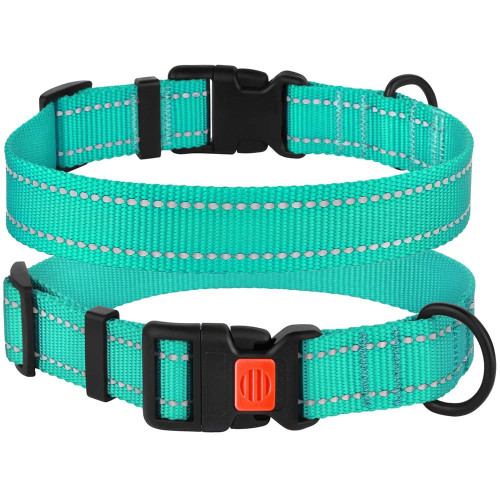 Нашийник BronzeDog Active, для собак, нейлоновий, фастекс пластик, бірюзовий, 30-40×2 см