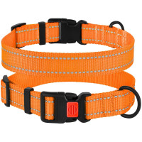 Нашийник BronzeDog Active, для собак, нейлоновий, фастекс пластик, помаранчевий, 43-66×2.5 см