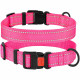 Нашийник BronzeDog Active, для собак, нейлоновий, фастекс пластик, рожевий, 30-40×2 см