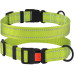 Нашийник BronzeDog Active, для собак, нейлоновий, фастекс пластик, салатовий, 35-53×2.5 см