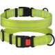Нашийник BronzeDog Active, для собак, нейлоновий, фастекс пластик, салатовий, 43-66×2.5 см