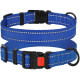 Нашийник BronzeDog Active, для собак, нейлоновий, фастекс пластик, синій, 43-66×2.5 см