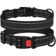 Нашийник BronzeDog Active, для собак, нейлоновий, фастекс пластик, чорний, 25-33×1.6 см