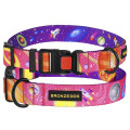 Нашийник BronzeDog Urban Cosmos, для собак, нейлоновий, фастекс пластиковий, рожевий, 25-33×1.6 см