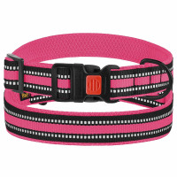 Нашийник BronzeDog Urban Mesh, для собак, нейлон і 3-D сітка, фастекс пластик, рожевий, 25-33×2 см