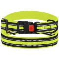 Нашийник BronzeDog Urban Mesh, для собак, нейлон і 3-D сітка, фастекс пластик, лимонний, 30-40×2 см