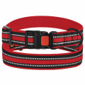 Нашийник BronzeDog Urban Mesh, для собак, нейлон і 3-D сітка, фастекс пластик, червоний, 30-40×2 см
