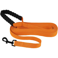 Повідець BronzeDog Active для собак, нейлоновий з м'якою ручкою, помаранчевий, 6 м×2.5 см Повідець BronzeDog Active для собак, нейлоновий з м'якою ручкою, помаранчевий, 6 м×2.5 см