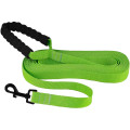 Повідець BronzeDog Active для собак, нейлоновий з м'якою ручкою, салатовий, 6 м×2.5 см