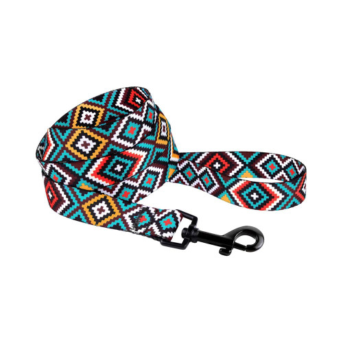 Повідець BronzeDog Tribal для собак, нейлон, принт гуцульський, ментоловий, 152×2.5 см