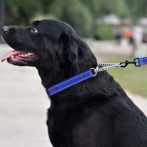 Нашийник-полуудавка BronzeDog, для собак, нейлоновий, фастекс, світловідбиваючий, синій, 35-43×2 см