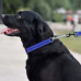 Нашийник-полуудавка BronzeDog, для собак, нейлоновий, фастекс, світловідбиваючий, синій, 35-43×2 см