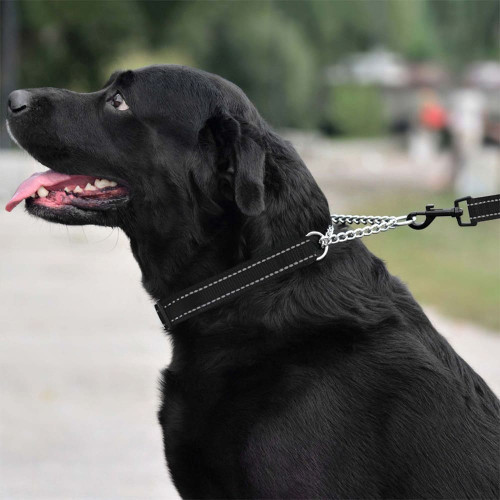 Нашийник-полуудавка BronzeDog, для собак, нейлоновий, фастекс, світловідбиваючий, чорний, 35-43×2 см