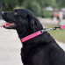 Нашийник-полуудавка BronzeDog, для собак, нейлоновий, фастекс, світловідбиваючий, рожевий, 30-38×1.6 см