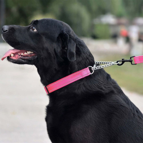 Нашийник-полуудавка BronzeDog, для собак, нейлоновий, фастекс, світловідбиваючий, рожевий, 41-55×2.5 см