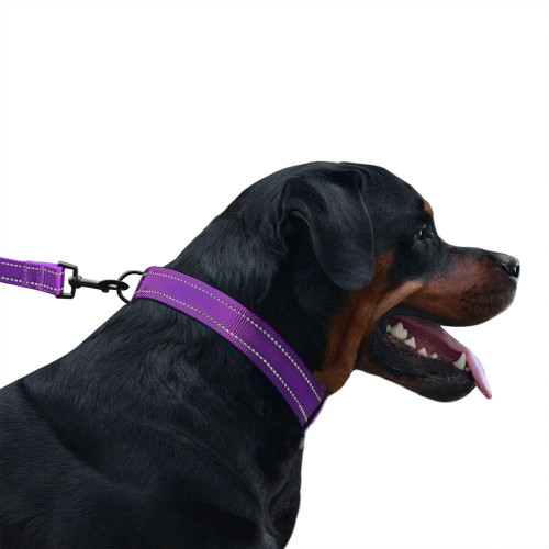 Нашийник BronzeDog Active, для собак, нейлоновий, фастекс пластик, фіолетовий, 25-33×1.6 см