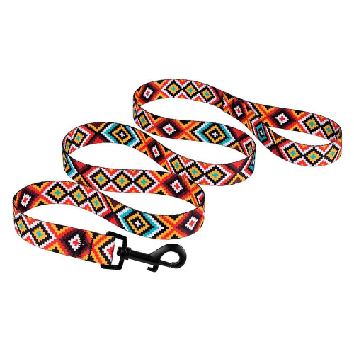 Повідець BronzeDog Tribal для собак, нейлон, принт гуцульський, помаранчевий, 152×1 см