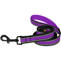 Поводок BronzeDog Mesh для собак, сетчатый нейлон, фиолетовый, 200×2 см