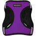 Шлея BronzeDog Sport Vest для собак з нейлону, неопрену і 3D сітки, фіолетовий, 34-42 см