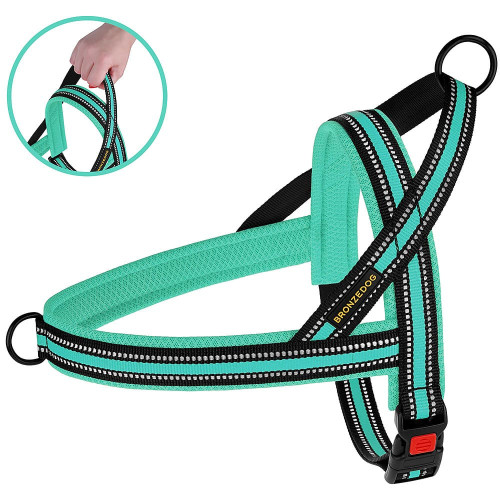 Шлея BronzeDog Mesh Скандинавська для собак, ментоловий, 32-38 см