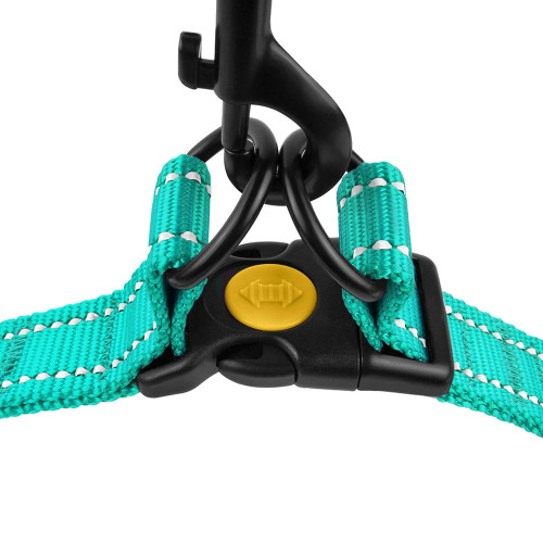 Шлея BronzeDog Active для собак, світловідбиваючий нейлон, бірюзовий, 45-60 см