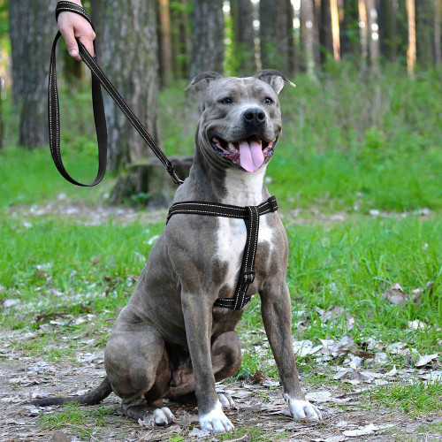 Шлея BronzeDog Active для собак, світловідбиваючий нейлон, чорний, 40-53 см