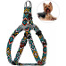 Шлея BronzeDog Tribal для собак, нейлон, принт гуцульський, ментоловий, 28-40 см