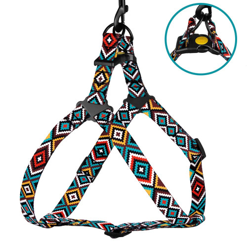 Шлея BronzeDog Tribal для собак, нейлон, принт гуцульський, ментоловий, 57-73 см