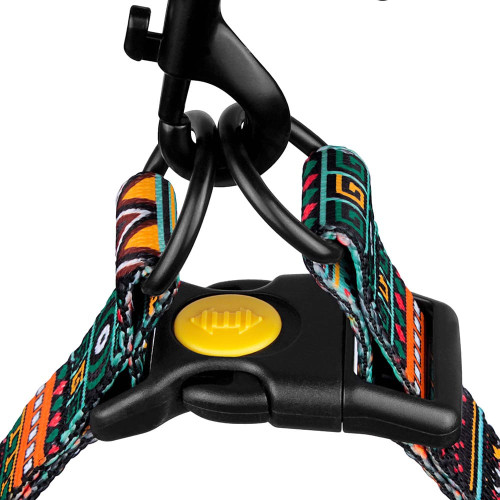 Шлея BronzeDog Tribal для собак, нейлон, принт етнічний, ментоловий, 45-60 см