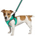 Шлея BronzeDog Mesh Vest для собак, сітчастий нейлон, ментоловий, 24-26 см
