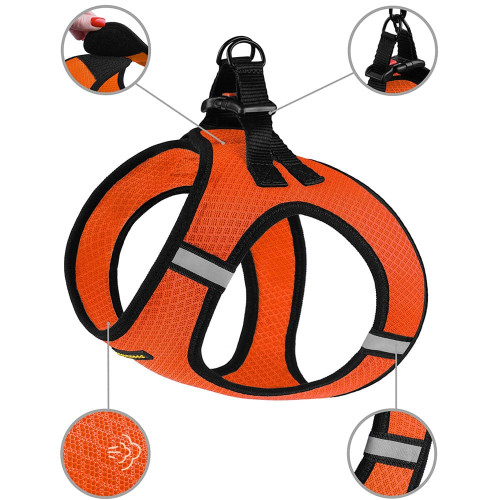 Шлея BronzeDog Mesh Vest для собак, сітчастий нейлон, помаранчевий, 20-24 см