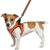 Шлея BronzeDog Mesh Vest для собак, сітчастий нейлон, помаранчевий, 20-24 см