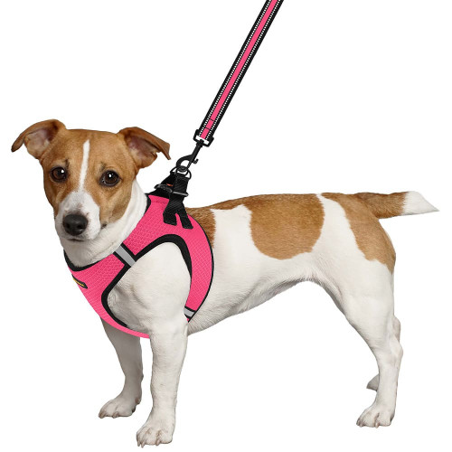 Шлея BronzeDog Mesh Vest для собак, сітчастий нейлон, рожевий, 20-24 см