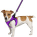 Шлея BronzeDog Mesh Vest для собак, сітчастий нейлон, фіолетовий, 20-24 см