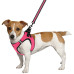 Шлея BronzeDog Mesh Vest для собак, сітчастий нейлон, рожевий, 43-53 см