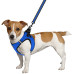 Шлея BronzeDog Mesh Vest для собак, сітчастий нейлон, синій, 29-34 см