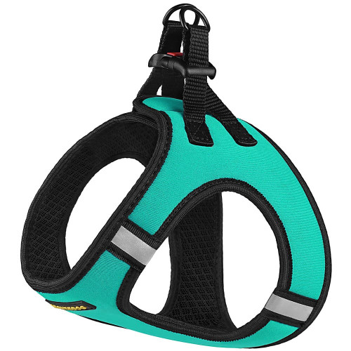 Шлея BronzeDog Sport Vest для собак з нейлону, неопрену і 3D сітки, ментоловий, 43-53 см