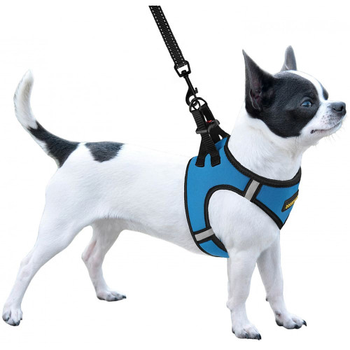 Шлея BronzeDog Sport Vest для собак з нейлону, неопрену і 3D сітки, блакитний, 34-42 см
