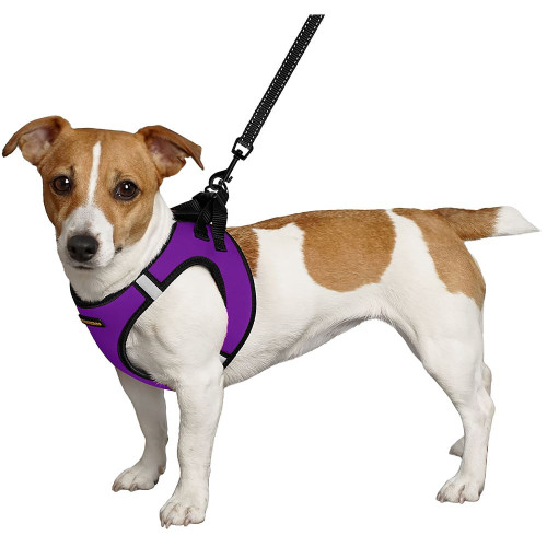 Шлея BronzeDog Sport Vest для собак з нейлону, неопрену і 3D сітки, фіолетовий, 34-42 см