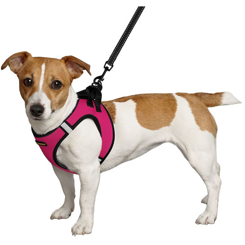 Шлея BronzeDog Sport Vest для собак з нейлону, неопрену і 3D сітки, рожевий, 29-34 см