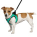 Шлея BronzeDog Sport Vest для собак з нейлону, неопрену і 3D сітки, ментоловий, 24-26 см