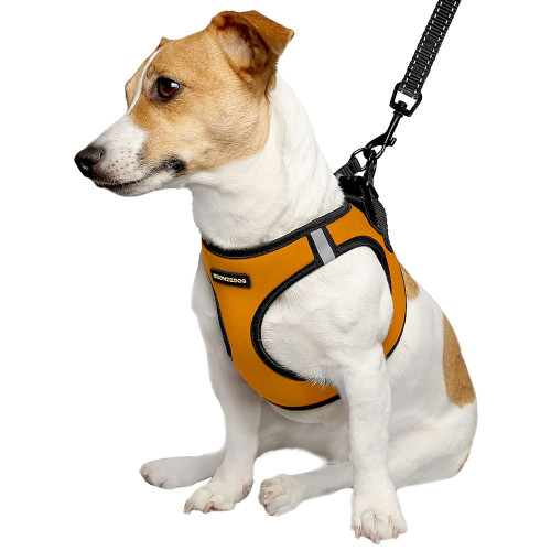 Шлея BronzeDog Sport Vest для собак з нейлону, неопрену і 3D сітки, помаранчевий, 42-47 см