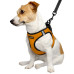 Шлея BronzeDog Sport Vest для собак з нейлону, неопрену і 3D сітки, помаранчевий, 42-47 см