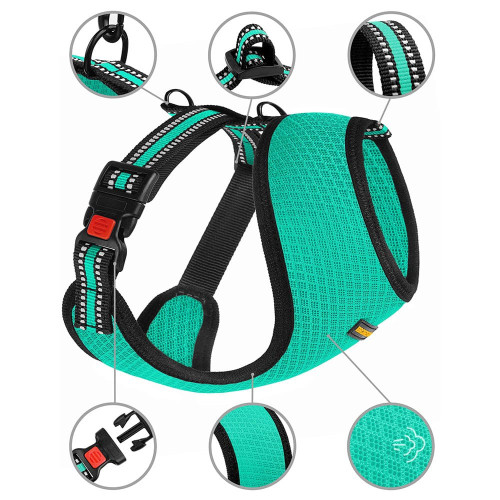 Шлея BronzeDog Mesh для собак дрібних порід, сітчастий нейлон, ментоловий, 35-38 см