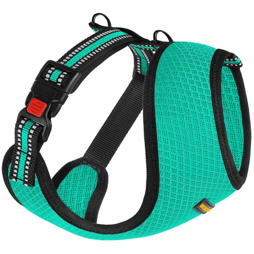 Шлея BronzeDog Mesh для собак дрібних порід, сітчастий нейлон, ментоловий, 35-38 см