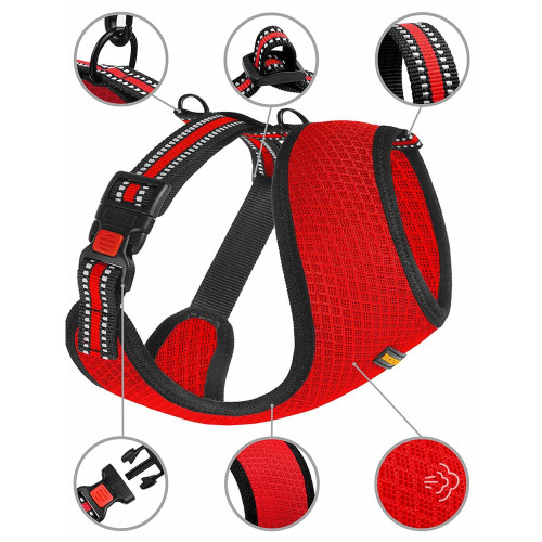 Шлея BronzeDog Mesh для собак дрібних порід, сітчастий нейлон, червоний, 35-38 см