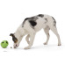 Іграшка для собак West Paw Rumbl Jungle Green, для ласощів, зелена, 10 см