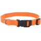 Нашийник Coastal New Earth Soy Dog Collar для собак, помаранчевий, 20-30×1.6 см