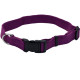 Нашийник Coastal New Earth Soy Dog Collar для собак, фіолетовий, 15-20×1 см